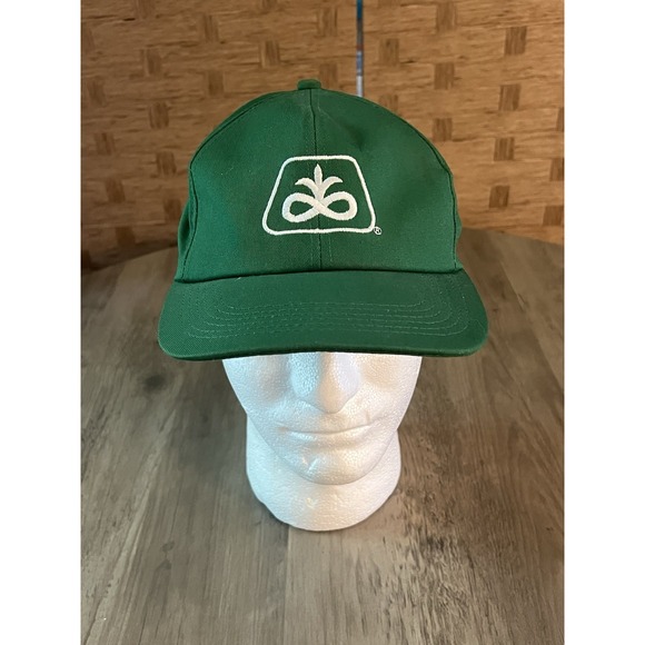 PIONEER Other - Pioneer Seed SnapBack Hat Green w/ Embroidered White Logo One Size Fits Most